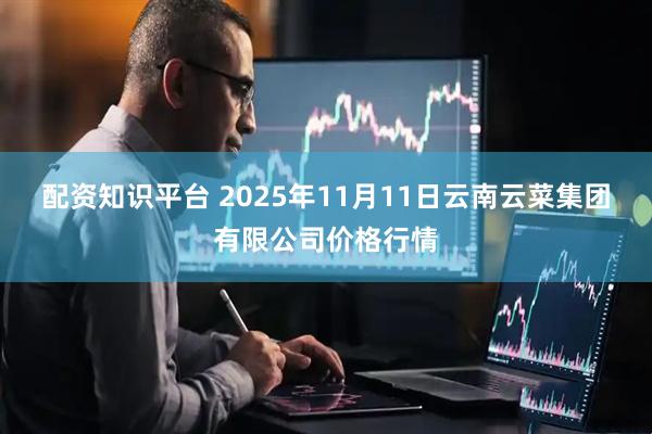 配资知识平台 2025年11月11日云南云菜集团有限公司价格行情